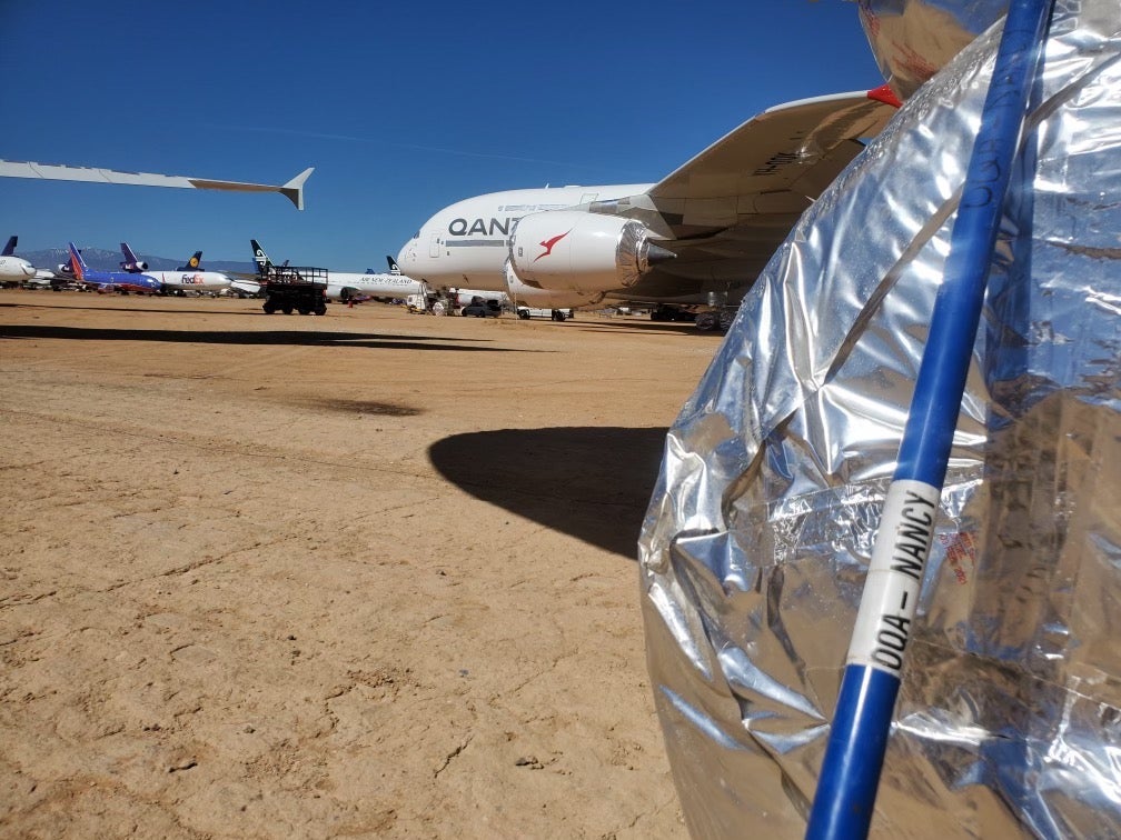 Deadly Snakes Love The World’s Biggest Plane. Enter The Whacking Stick!