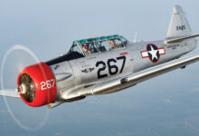 [Credit: Dylan Phelps]