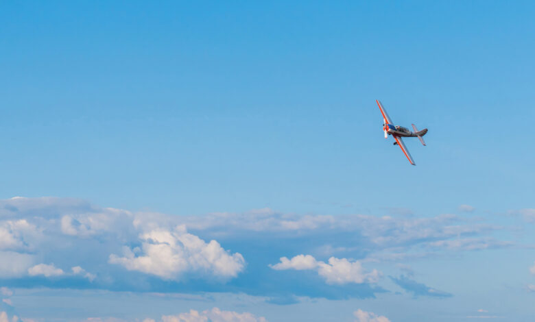 [Credit Adobe Stock]