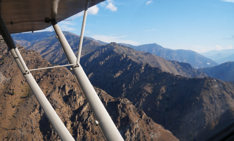 [Credit: Cayla McLeod]