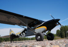 [Credit: Cayla McLeod]