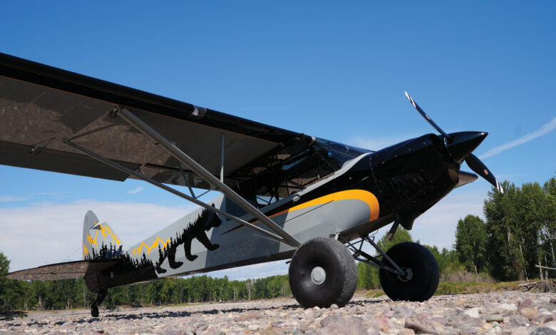 [Credit: Cayla McLeod]