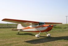 [Credit: Wikimedia Commons]