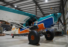 [Credit: Cayla McLeod]