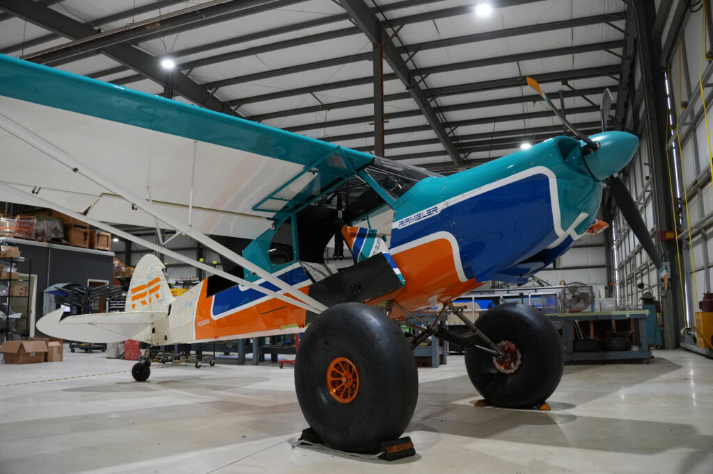 [Credit: Cayla McLeod]