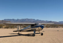 [Credit: Cayla McLeod]