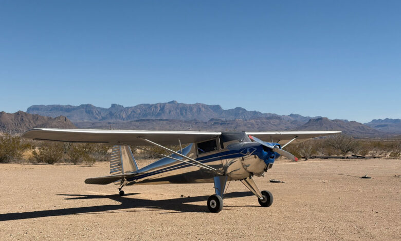 [Credit: Cayla McLeod]