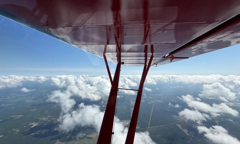 [Credit: Cayla McLeod]